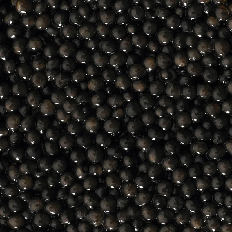 Baerii caviar from Greece