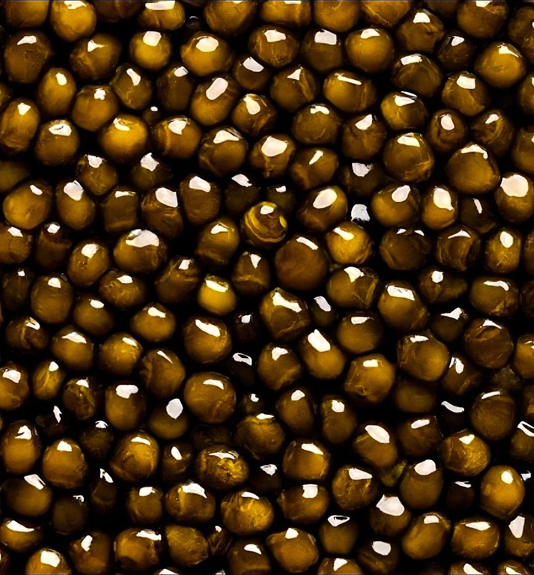 Dauricus x Schrenckii caviar from PRC