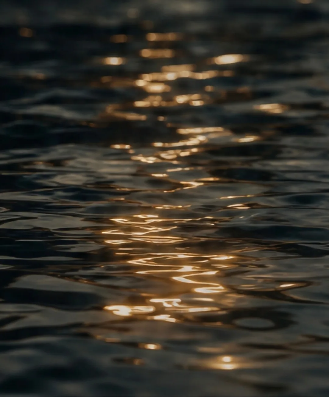 Dark water at sunset with golden reflection path